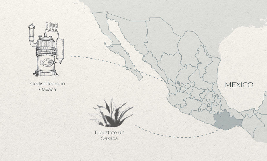 NL Tepeztate from Oaxaca Distilled in Oaxaca